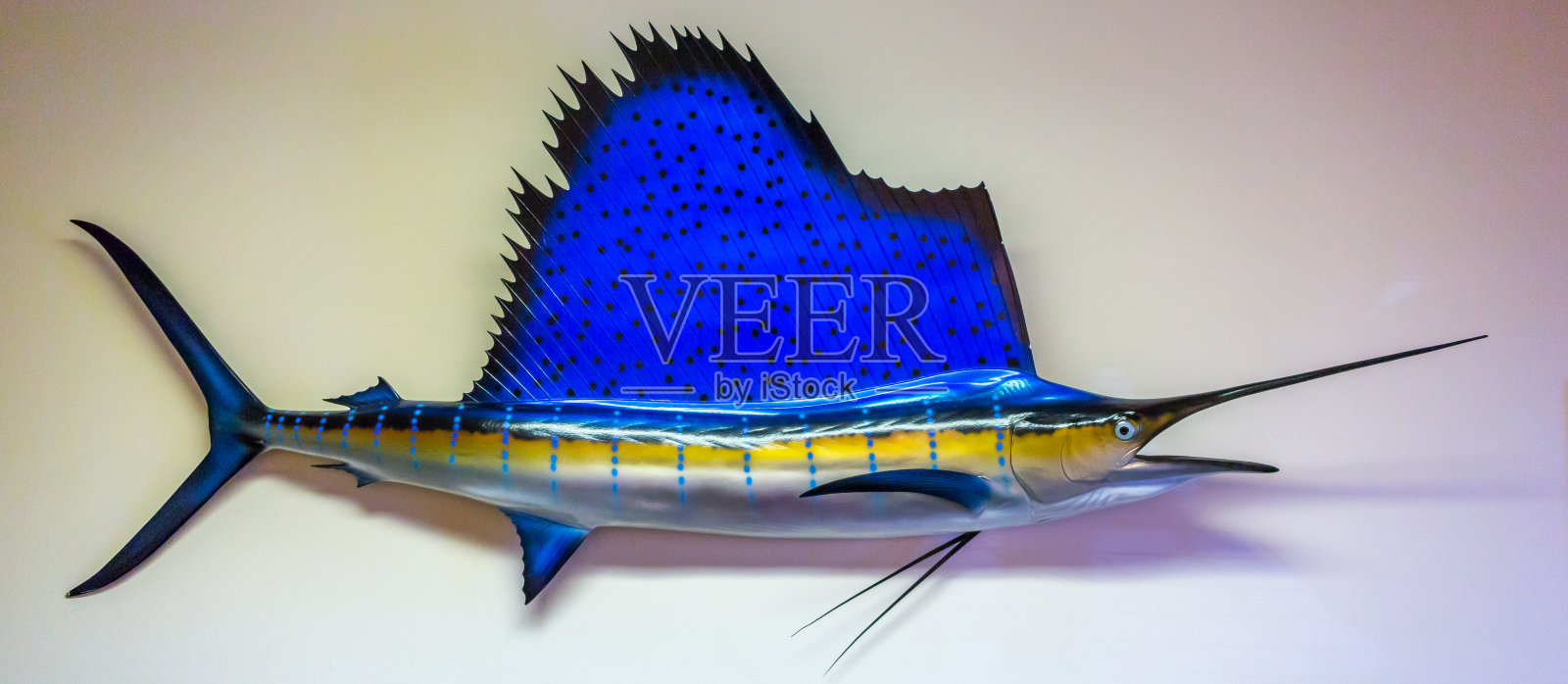 长城上的旗鱼照片摄影图片