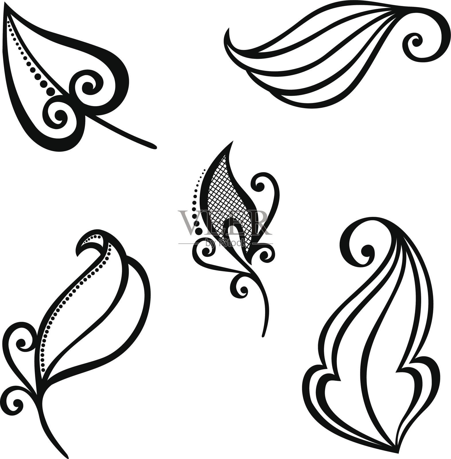 带装饰的原始装饰叶子(矢量)插画图片素材