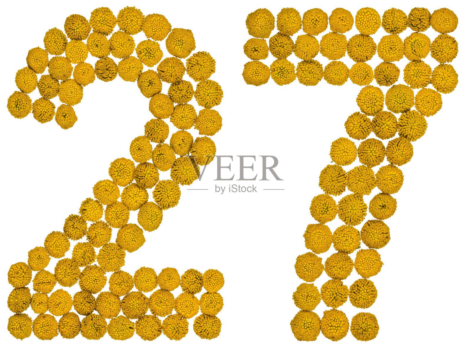 阿拉伯数字27,27,来自黄色的檀香花,孤立在白色背景上照片摄影图片