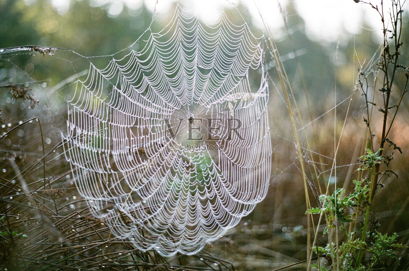 双重曝光照片摄影图片