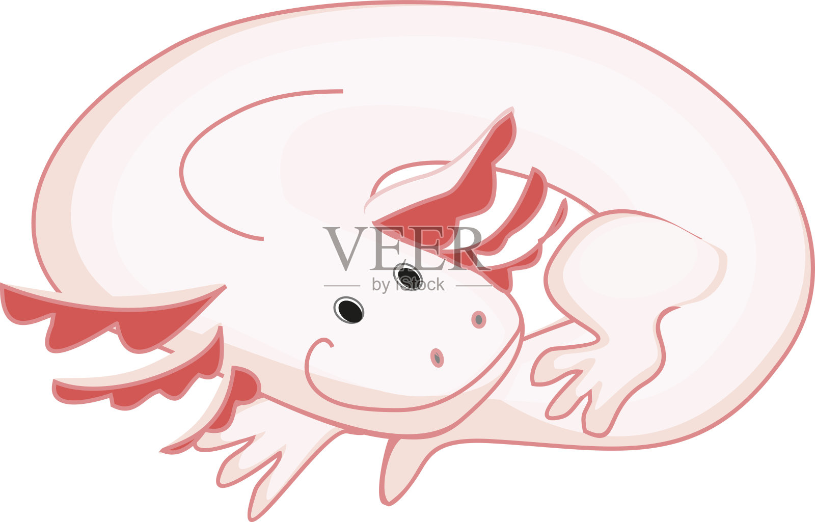 蝾螈(墨西哥蝾螈)设计元素图片