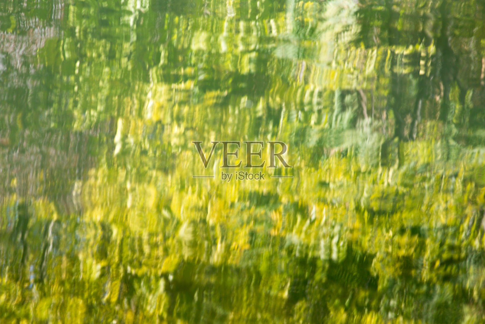 湖中倒影的树照片摄影图片