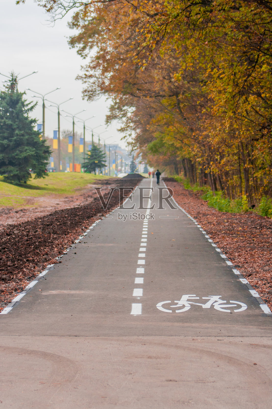 乌克兰公路上的自行车道照片摄影图片