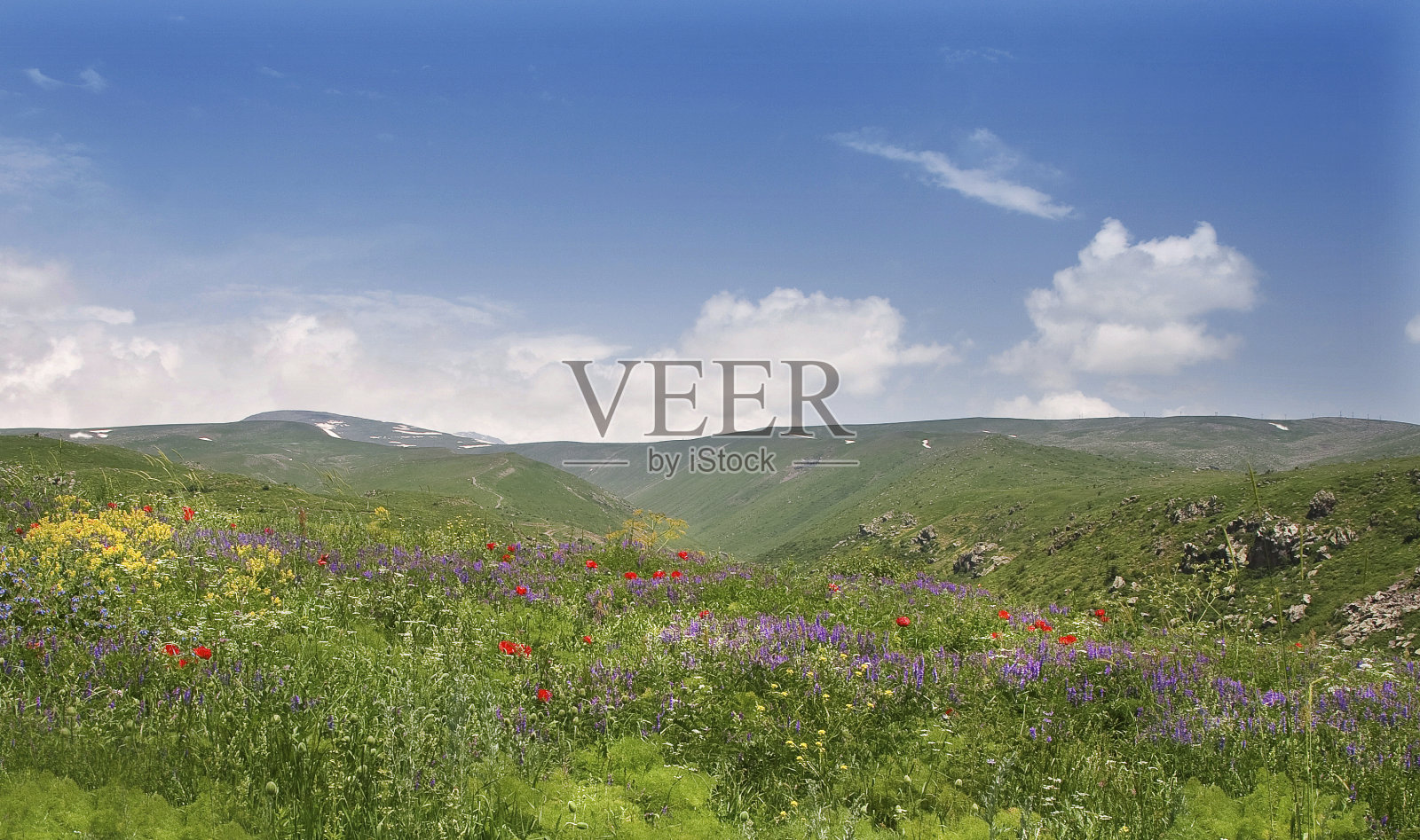 盛开的花谷(琥珀)照片摄影图片