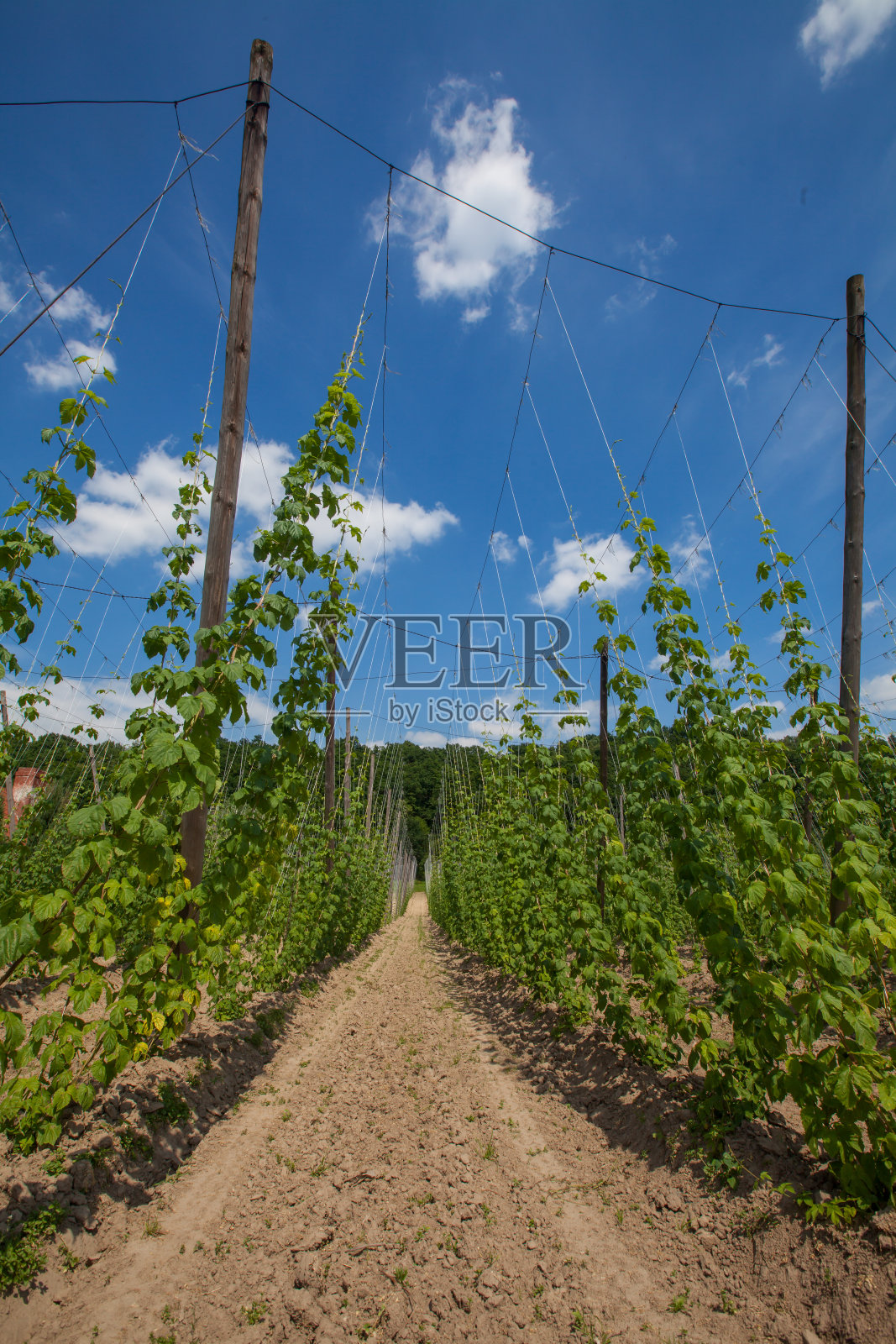 跳场照片摄影图片