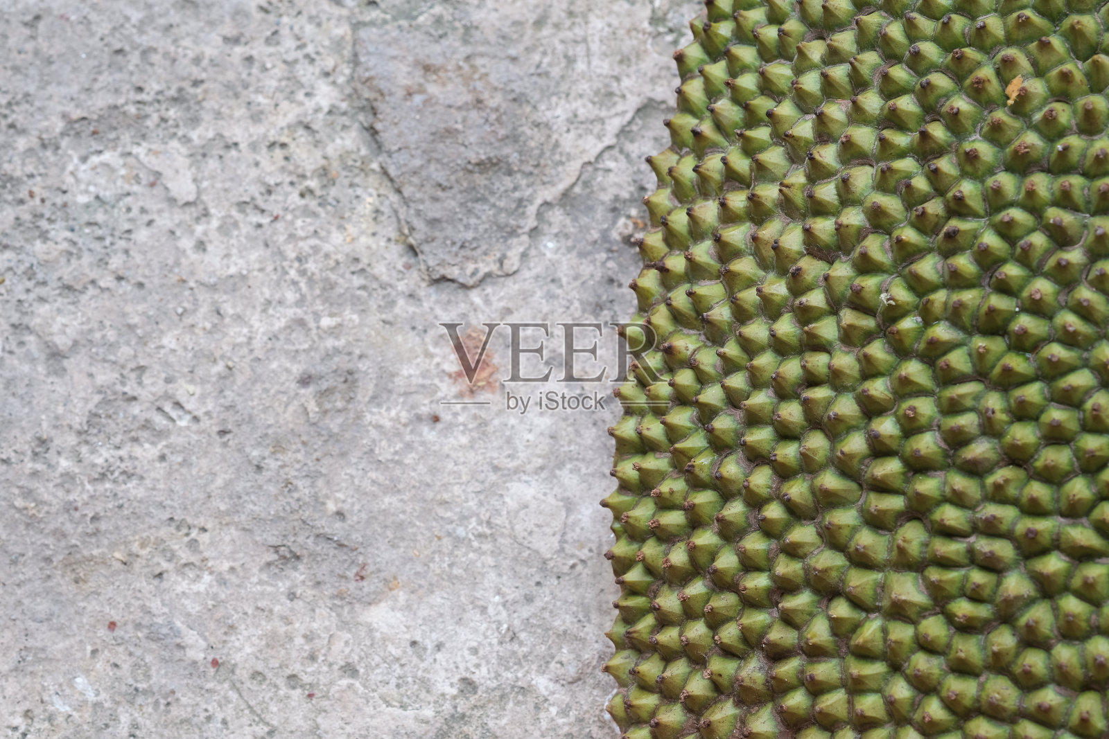 菠萝蜜照片摄影图片