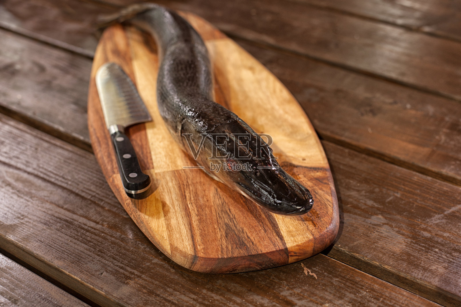 厨房里的鲜鱼。烹饪海鲜吃。照片摄影图片