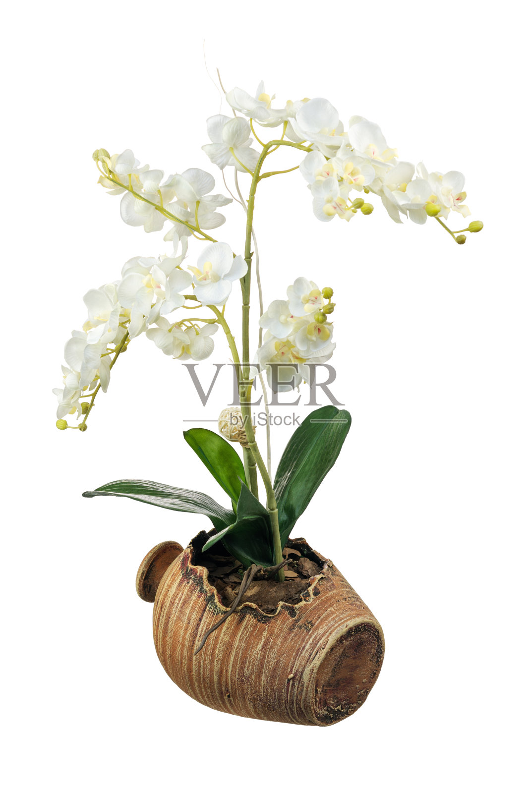 人造兰花插花。照片摄影图片