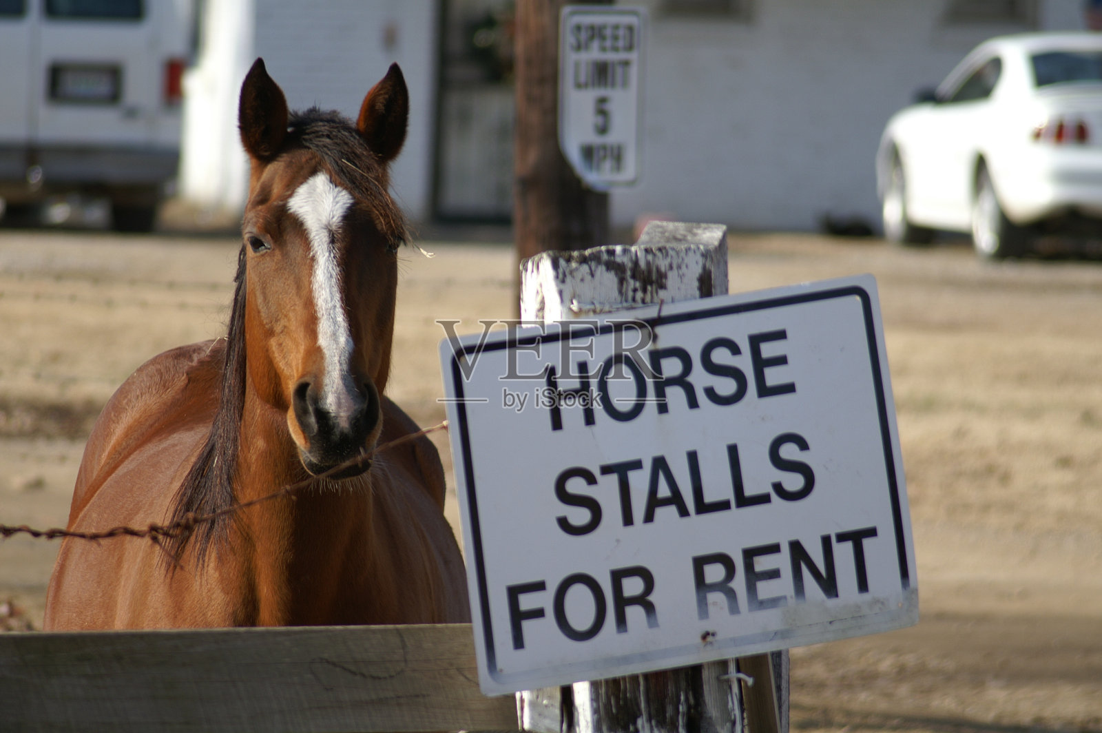 出租马棚2照片摄影图片