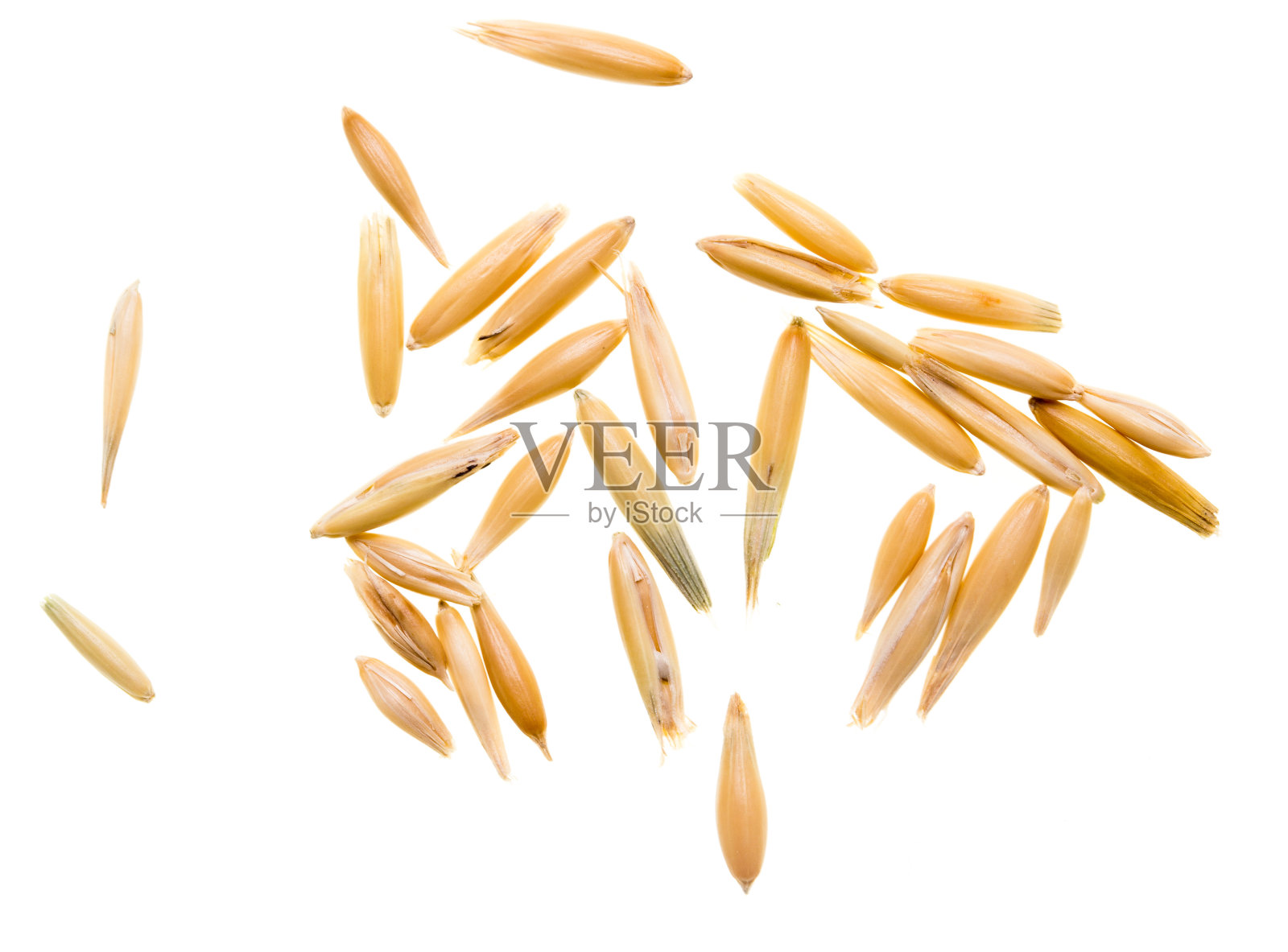 孤立在白色背景上的燕麦粒照片摄影图片
