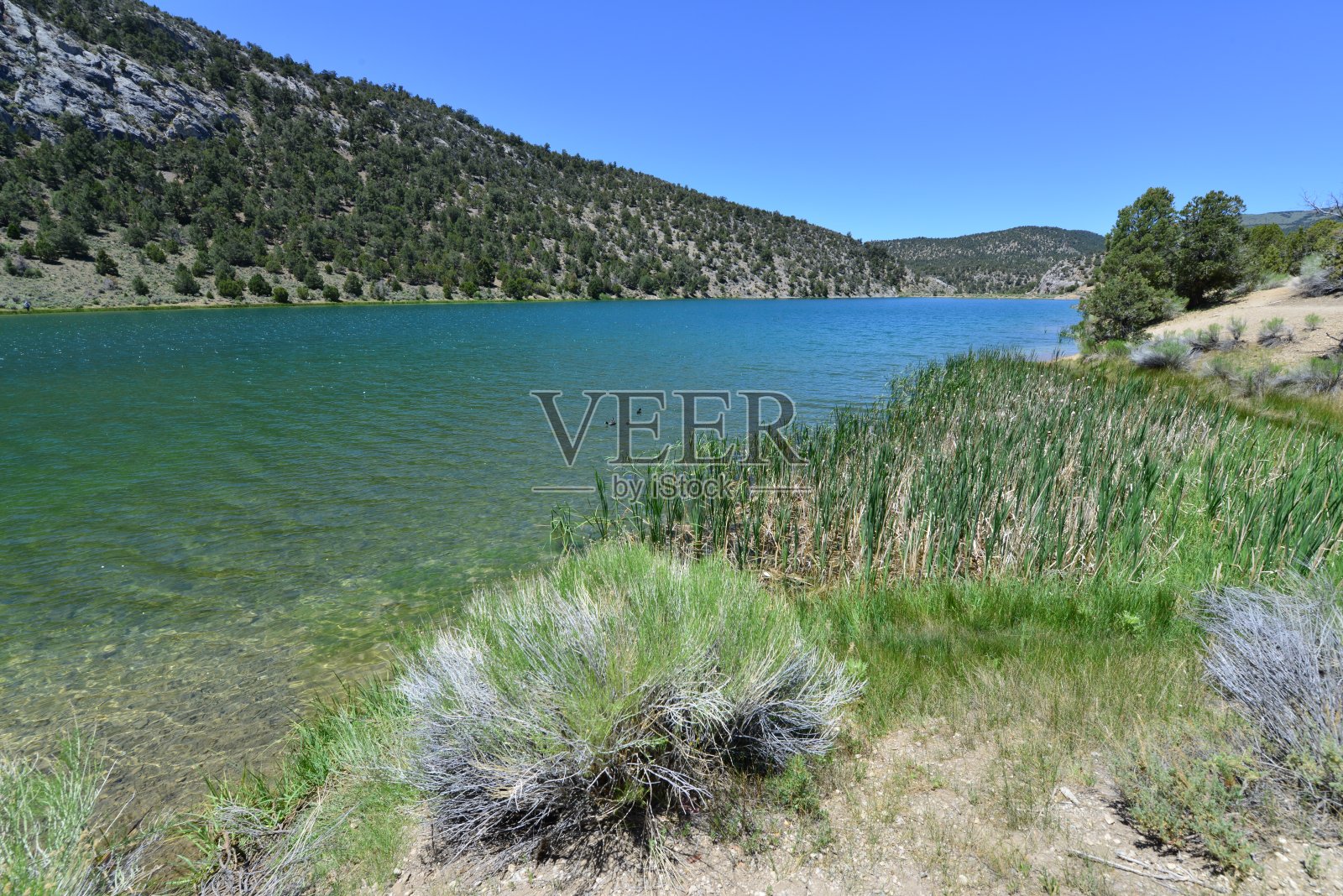 美国内华达州州立公园的一个湖。照片摄影图片