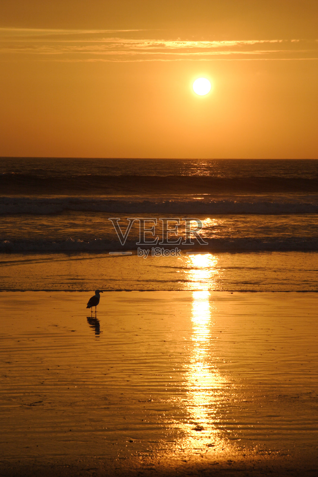 太平洋日落照片摄影图片