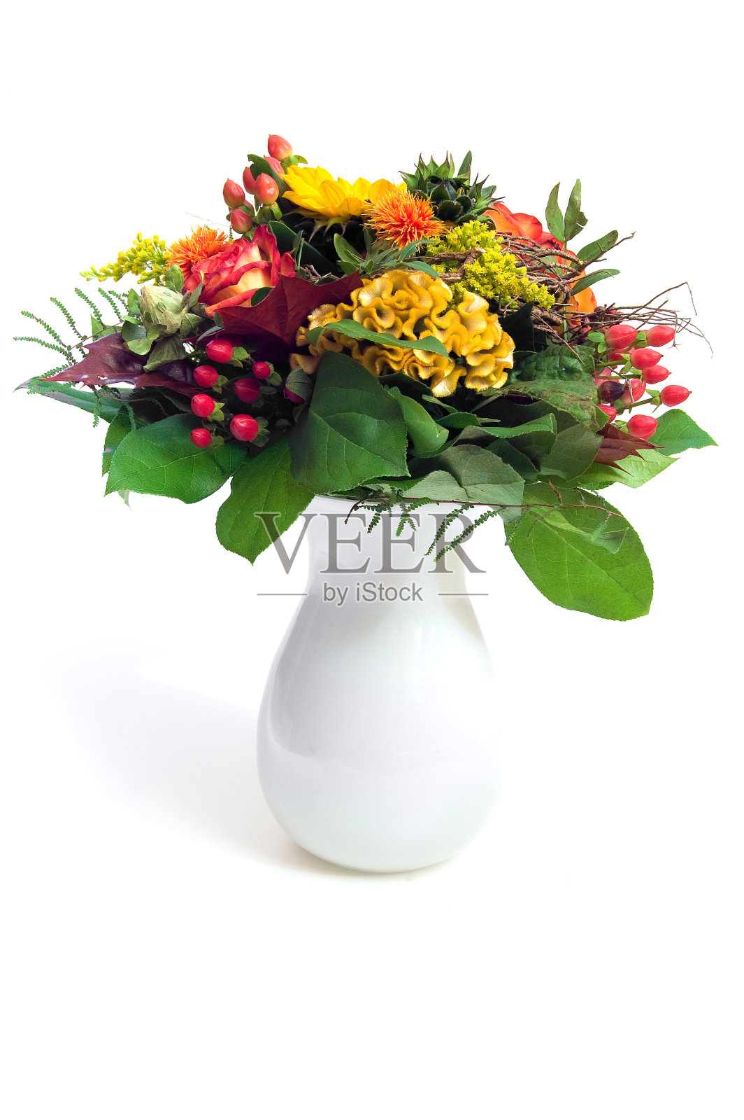 野花照片摄影图片