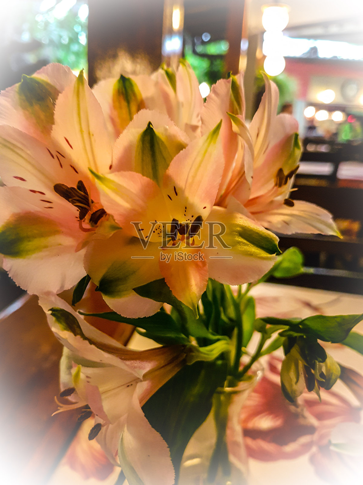 巴西花卉(巴西花)照片摄影图片