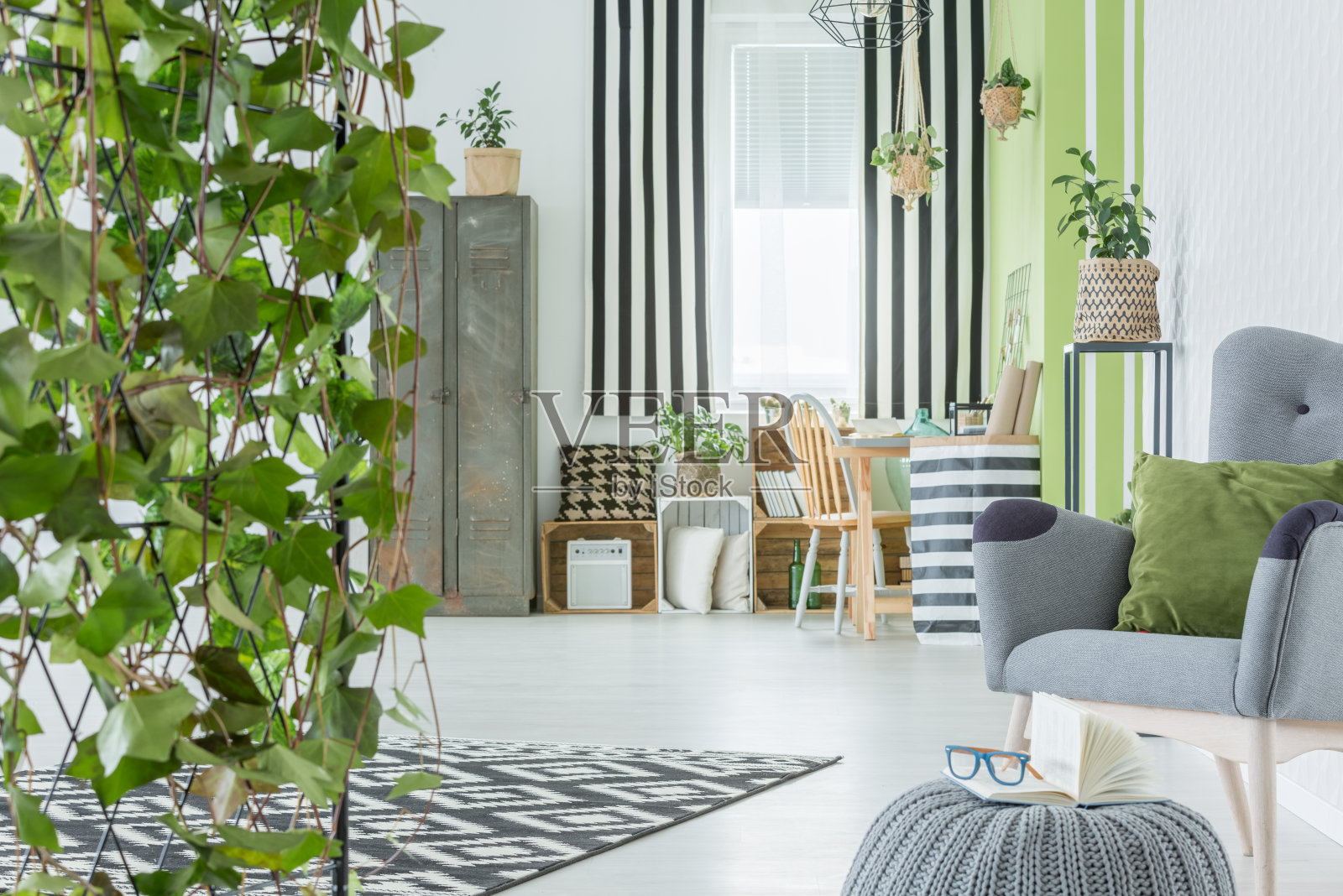 装饰常春藤的家居内饰照片摄影图片