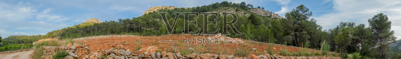 穿过castellon的棕榈沙漠,西班牙照片摄影图片