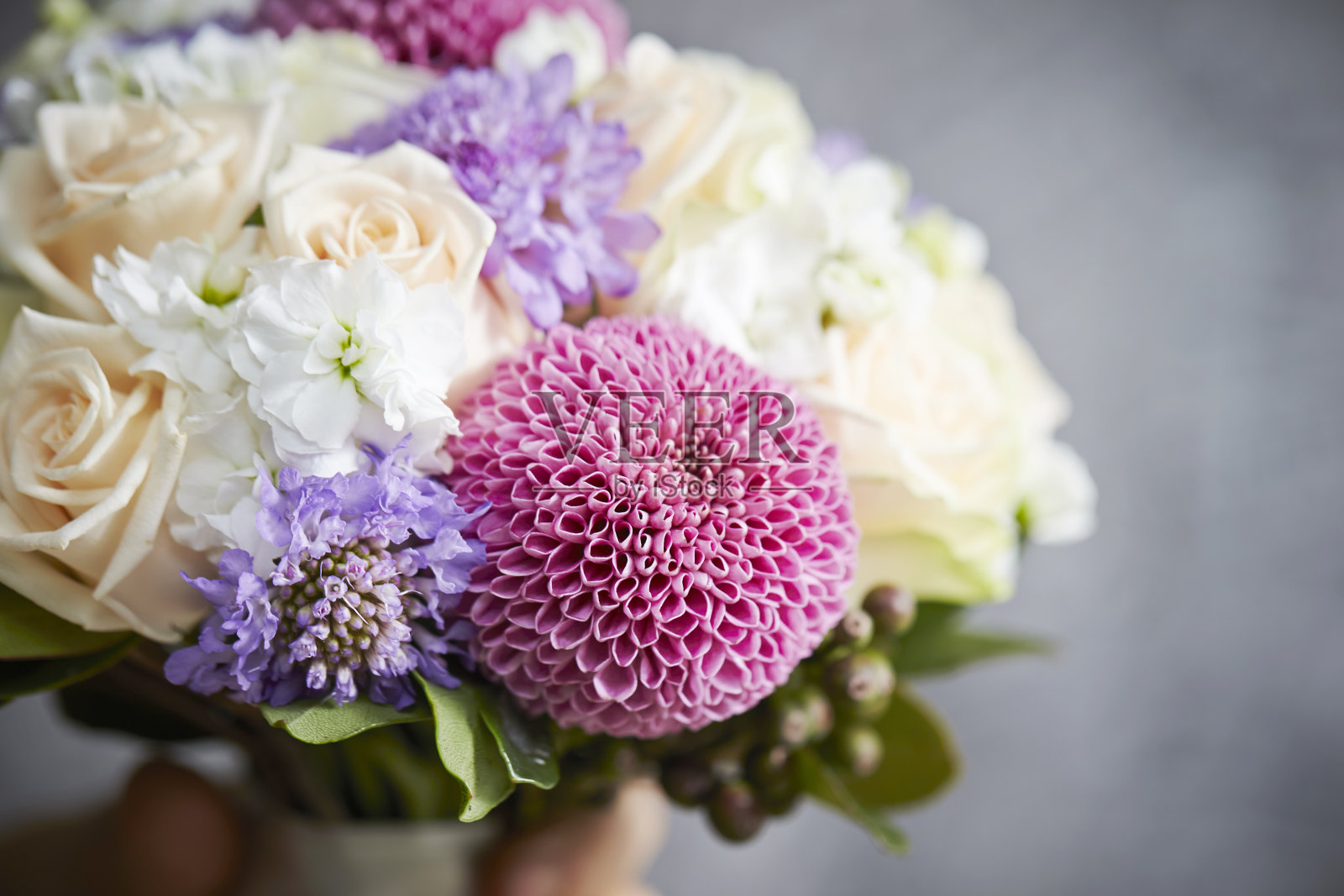 花朵的花束照片摄影图片