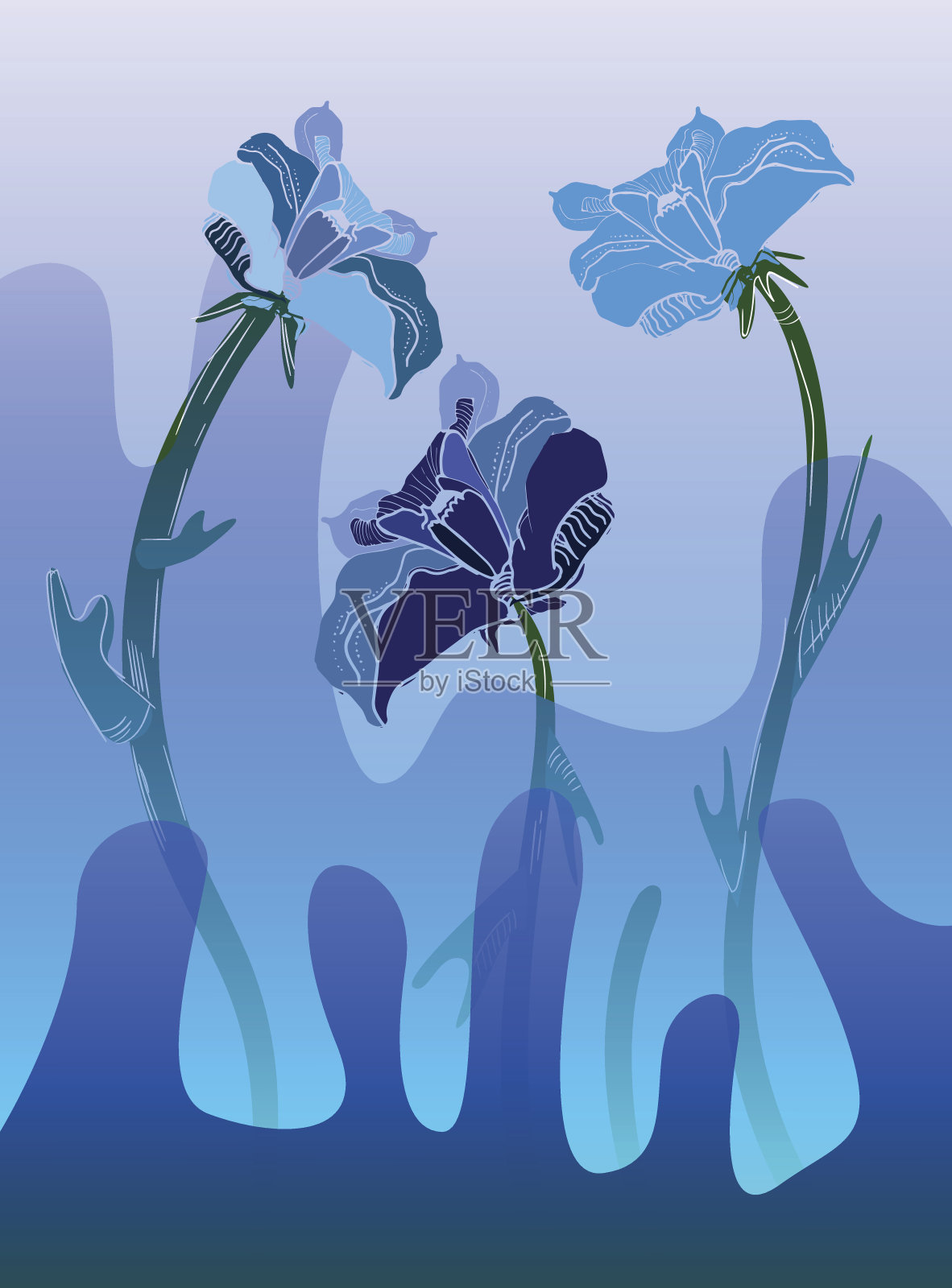 花向量Illustartion插画图片素材