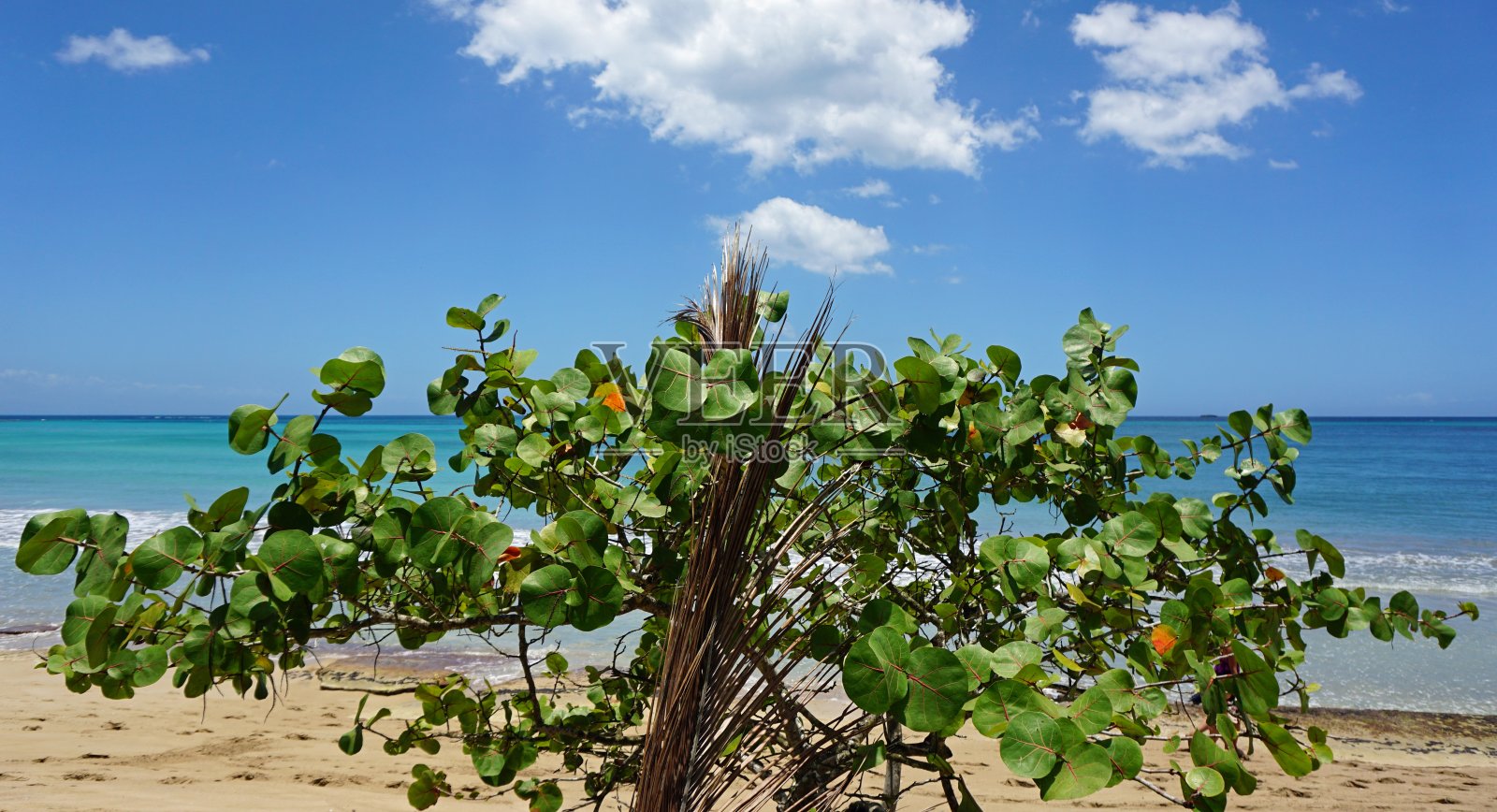 多米尼加共和国照片摄影图片
