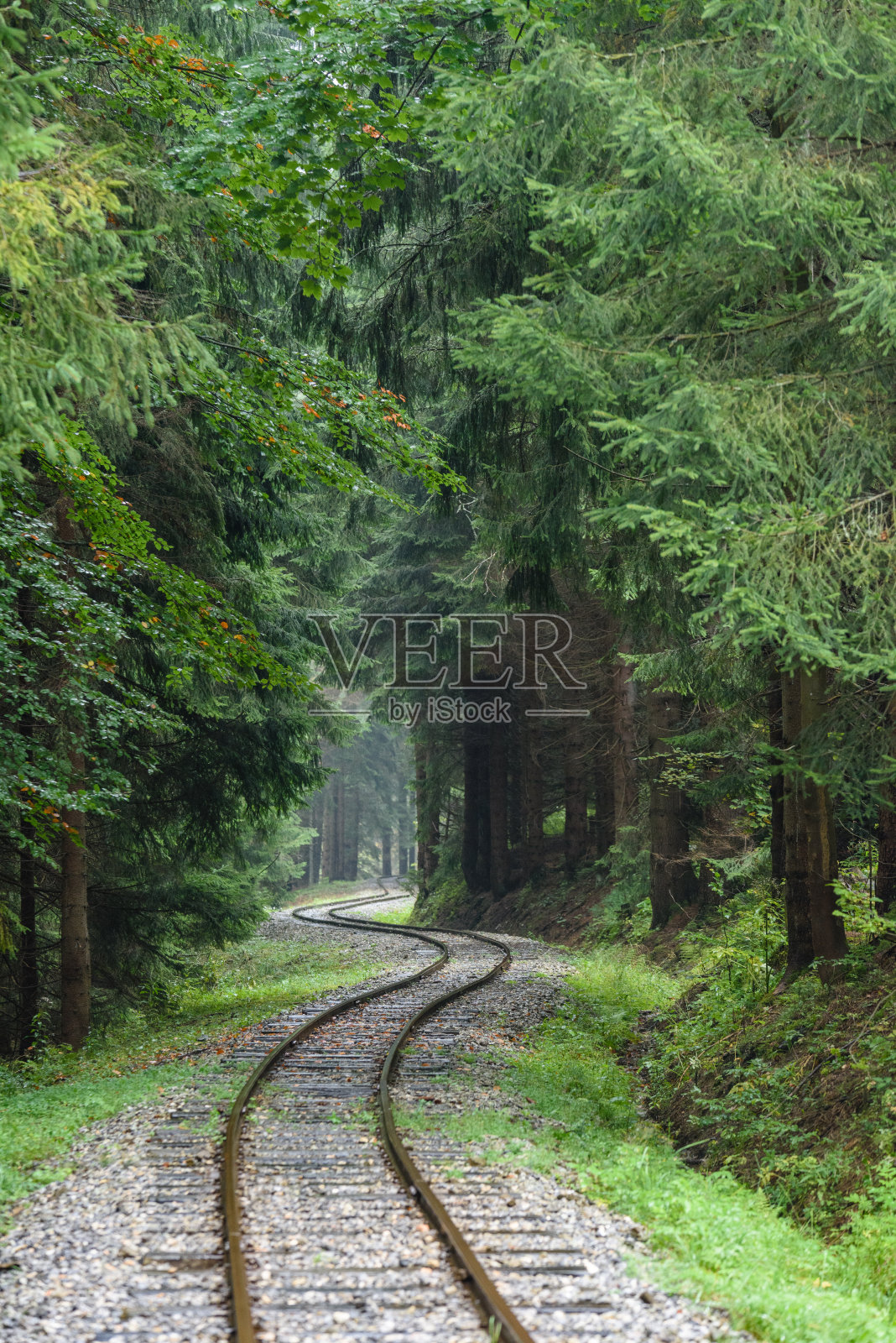 森林里潮湿的夏日里起伏的铁路轨道照片摄影图片