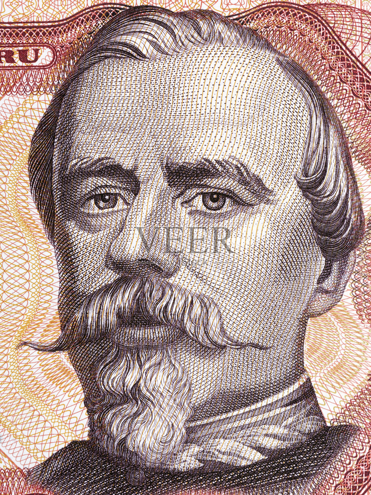 旧金山Bolognesi肖像照片摄影图片