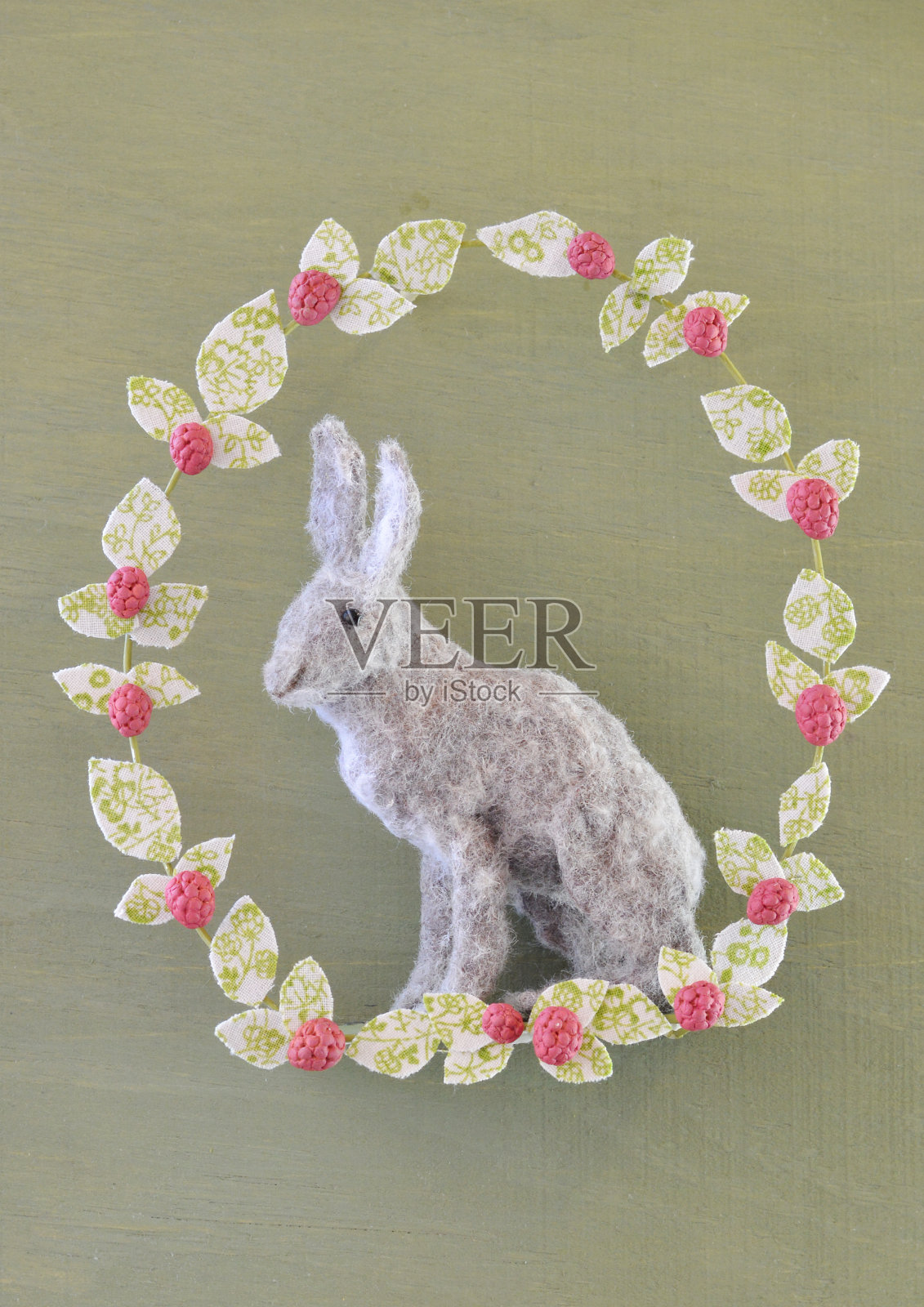 微型展示一只带有树莓的野兔照片摄影图片