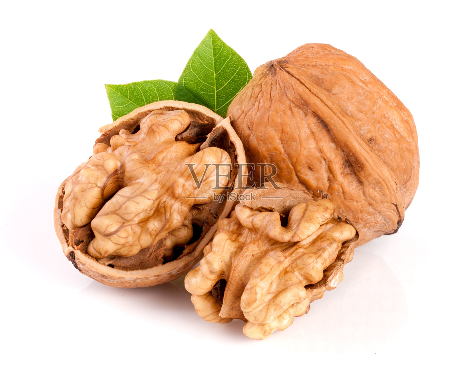 叶子孤立在白色背景上的核桃照片摄影图片