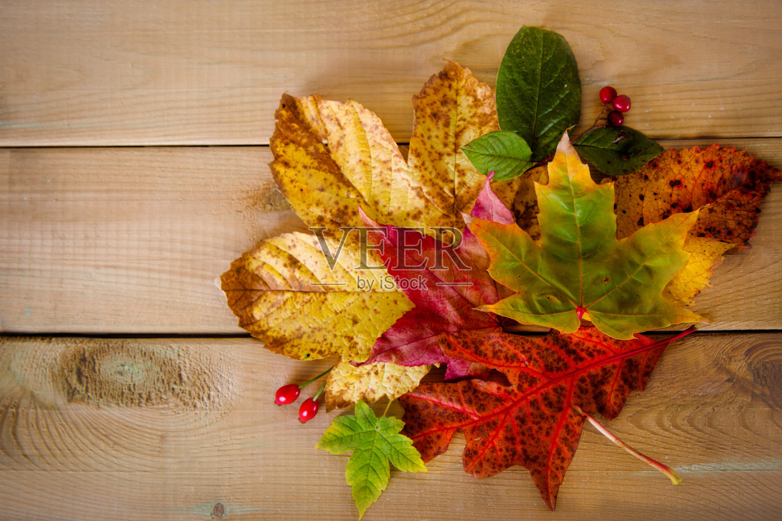 木制背景上的秋叶照片摄影图片