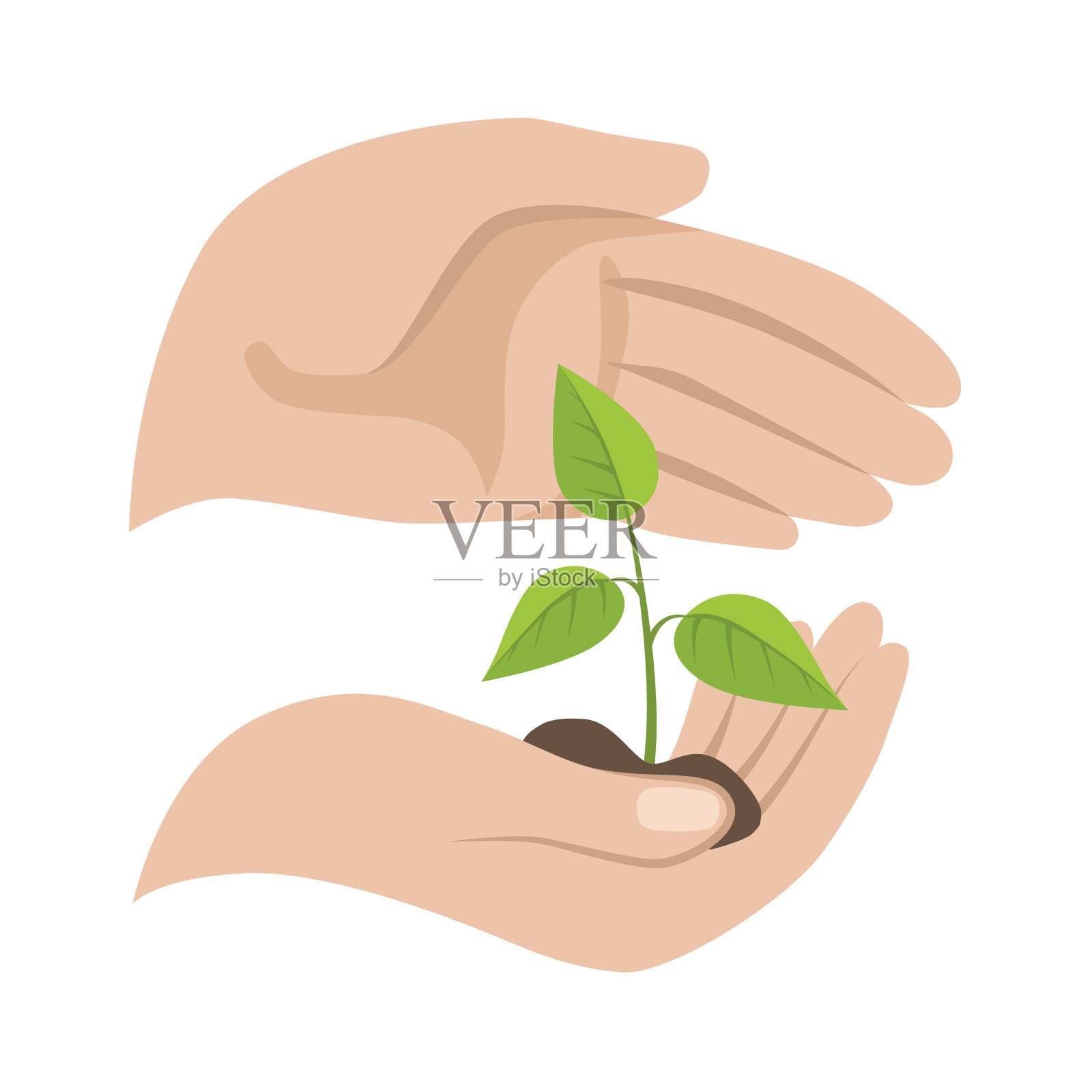 手握幼芽插画图片素材