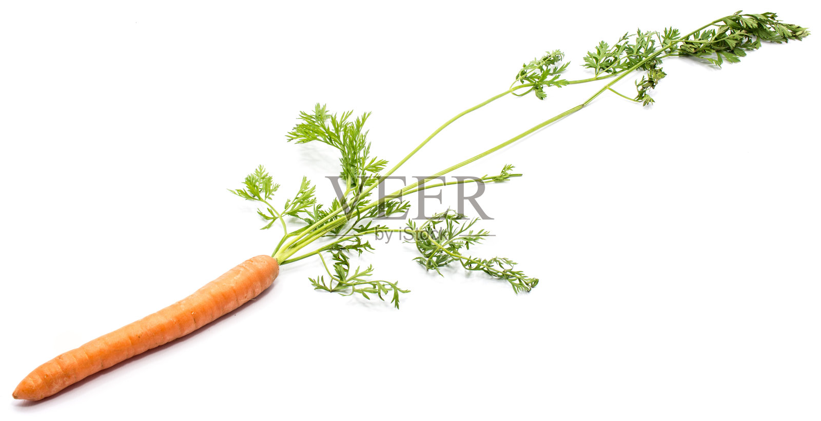 胡萝卜照片摄影图片