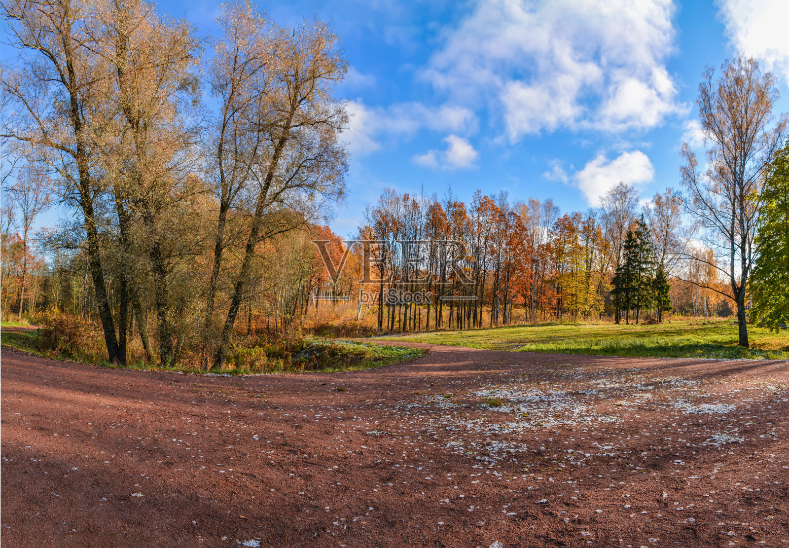 金色的秋天照片摄影图片