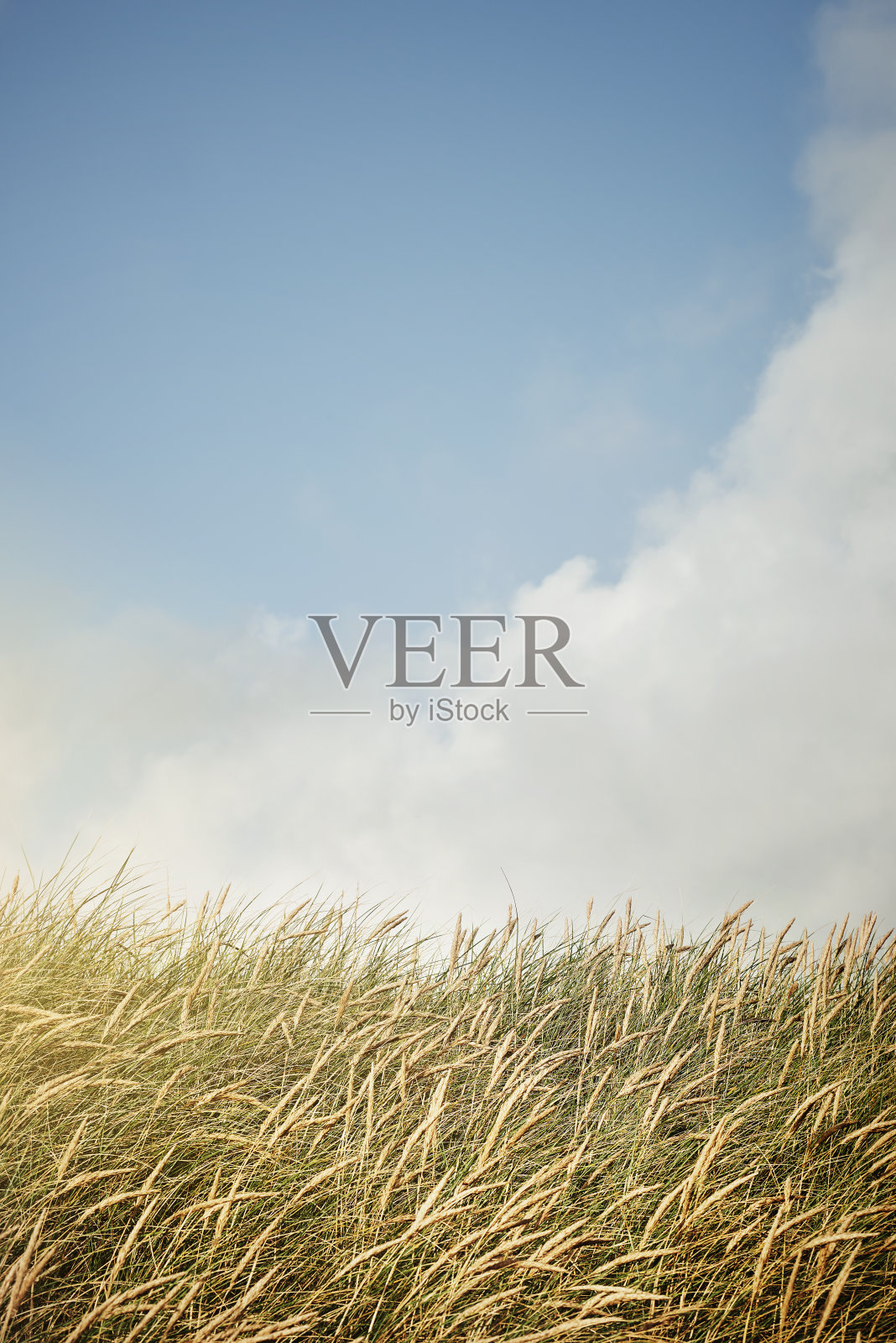 大自然的收获之美照片摄影图片