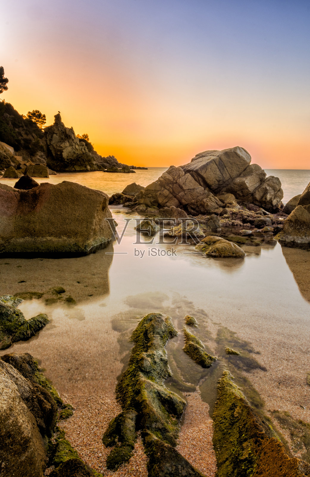 布拉瓦海岸的黎明照片摄影图片