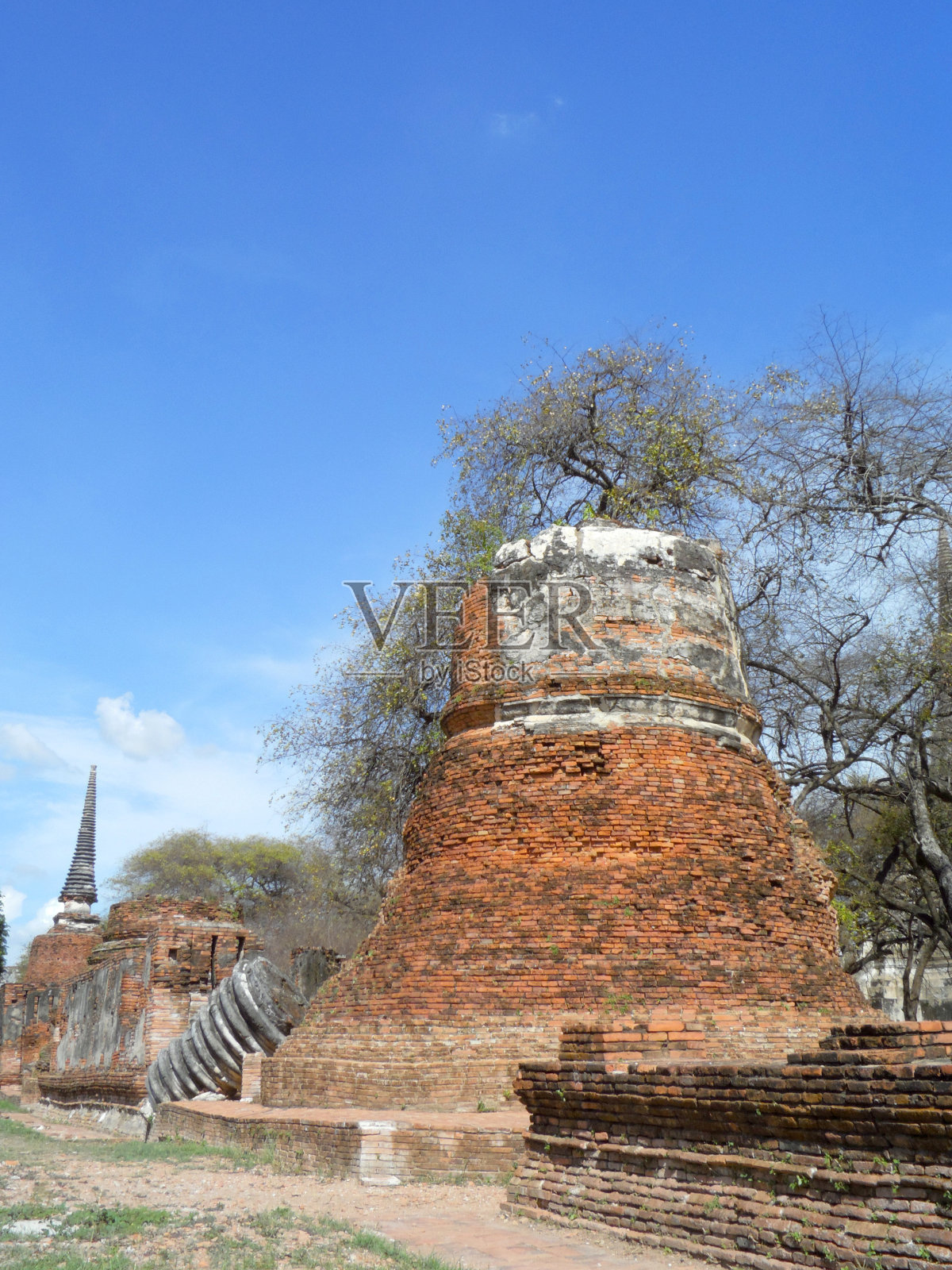 泰国大城府柴华他兰寺宝塔照片摄影图片