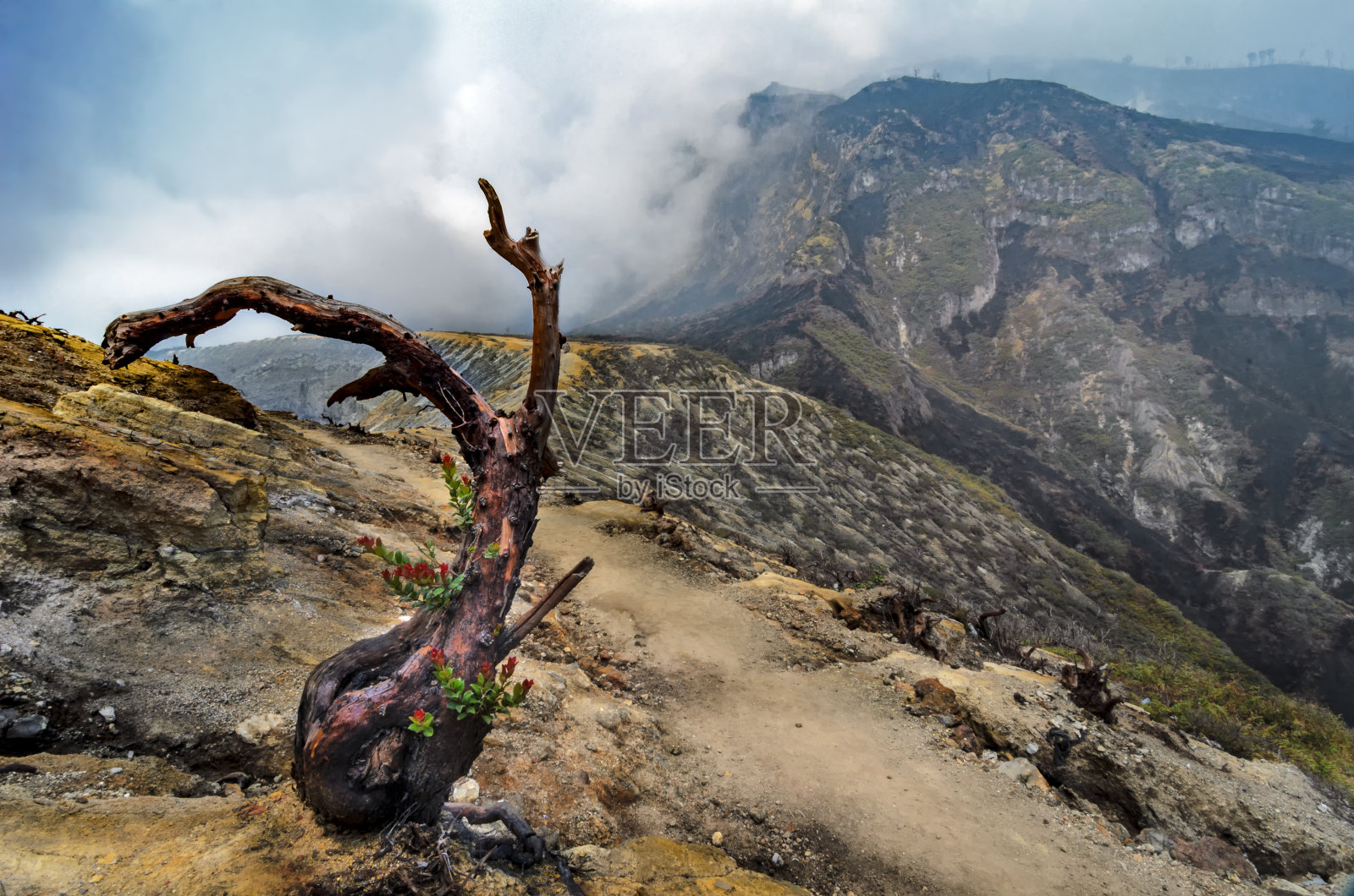 早上脊照片摄影图片