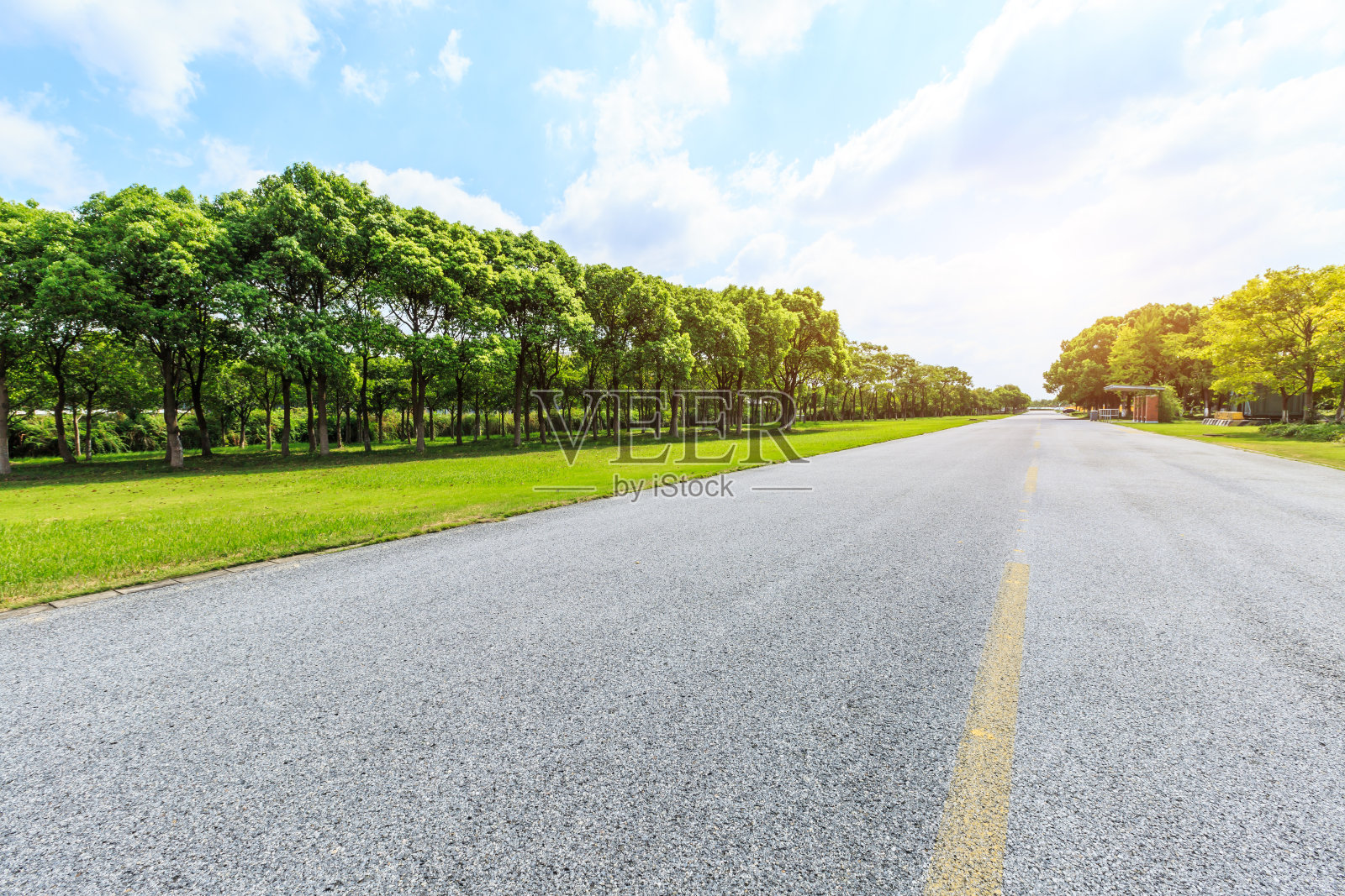 碧海蓝天下的柏油路和绿林照片摄影图片