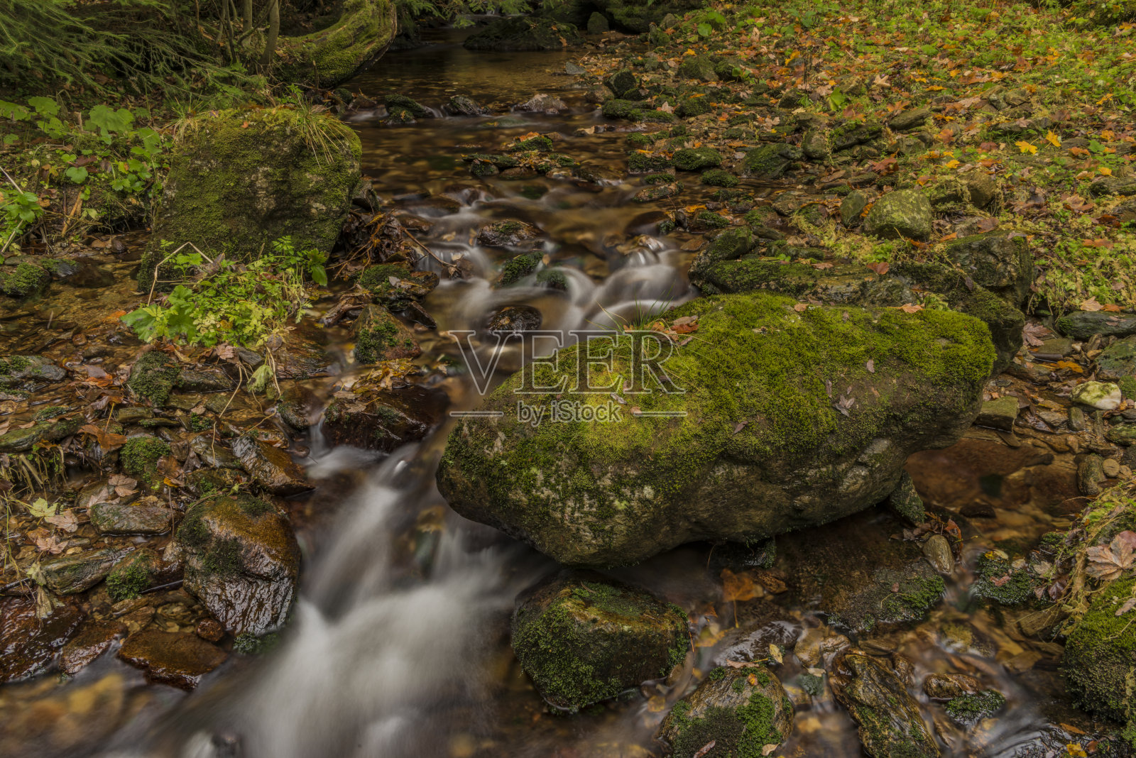 秋天,克科诺斯山的贾沃利溪照片摄影图片