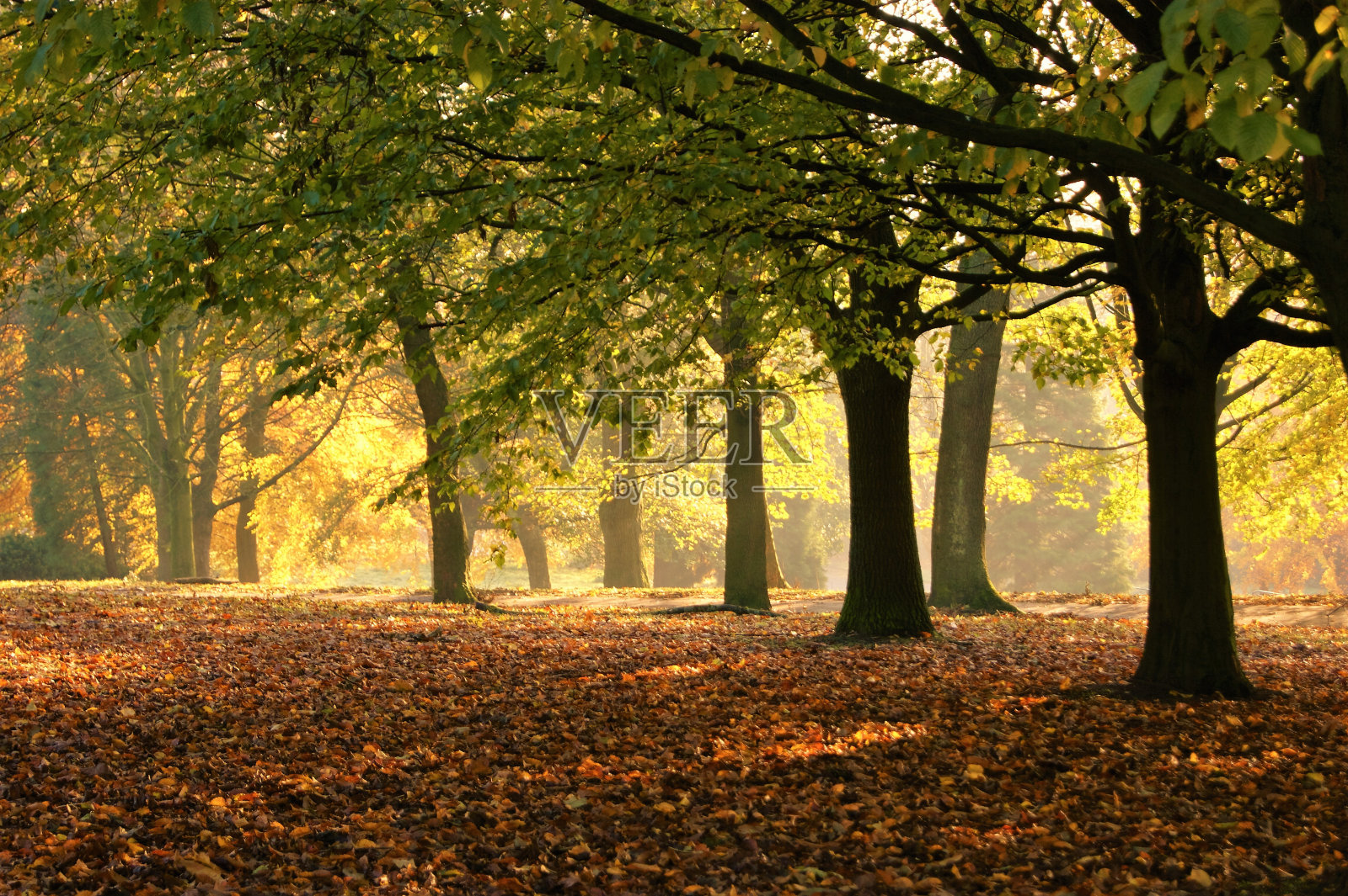 秋天的风景。照片摄影图片