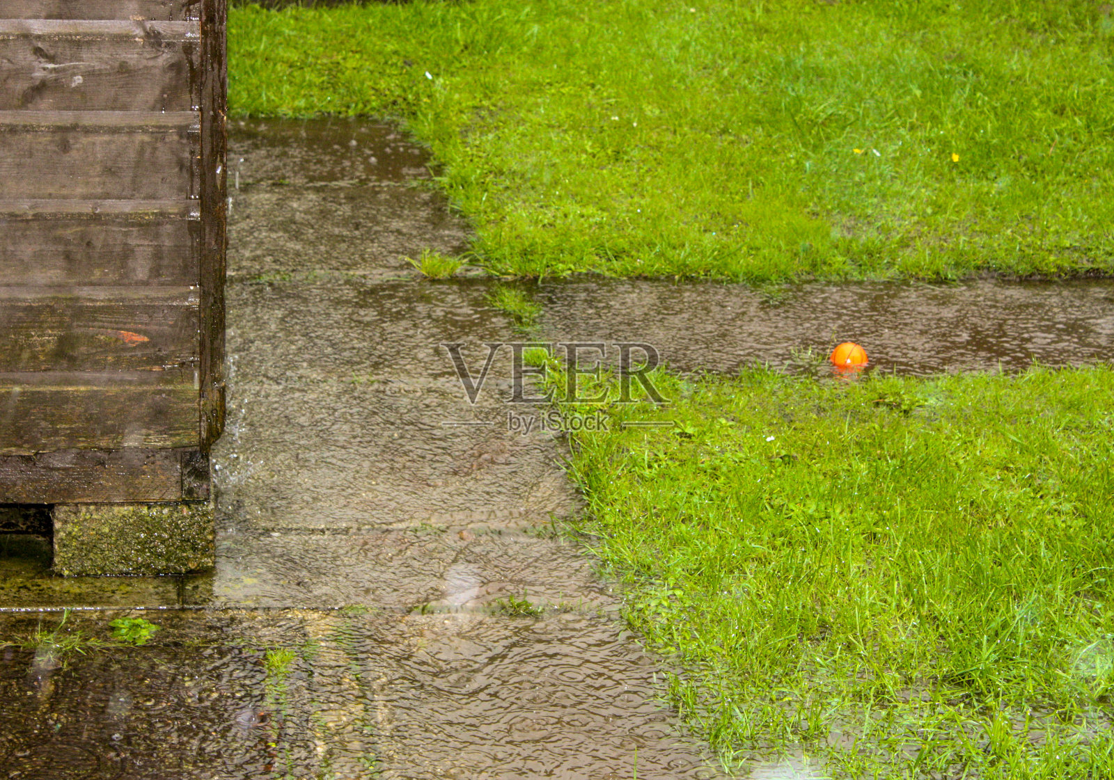 满溢的照片摄影图片