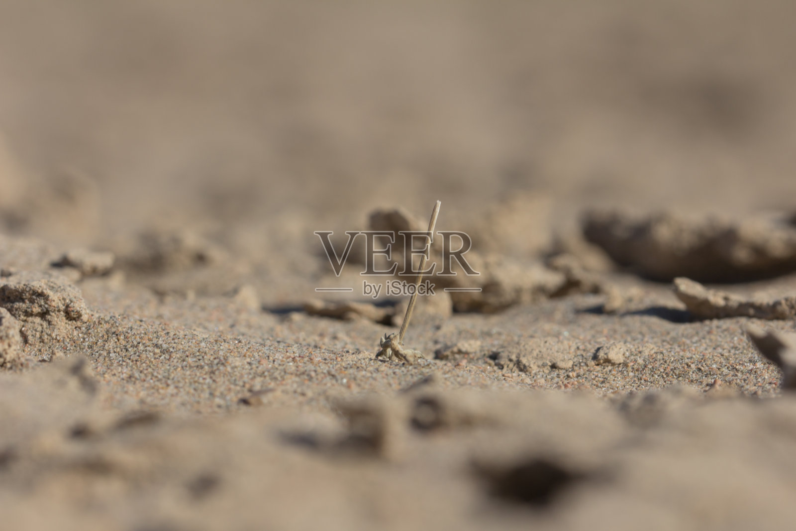 背景的土壤和沙子照片摄影图片