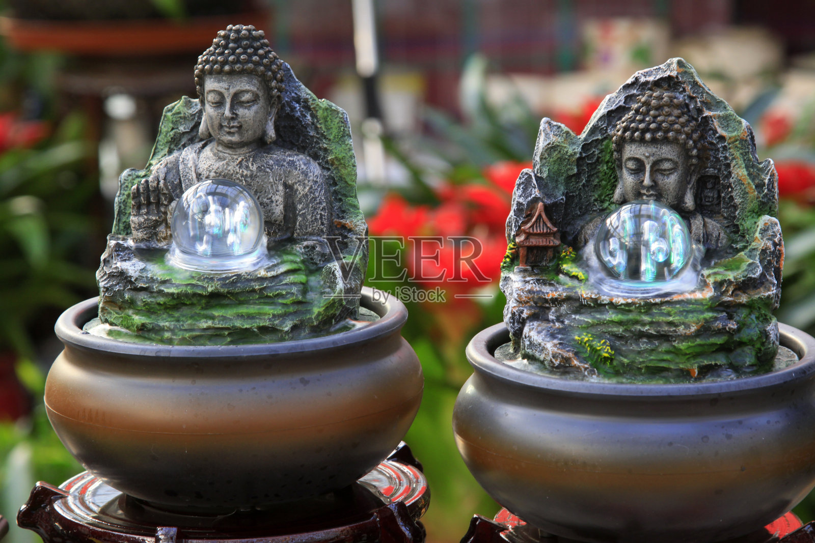 菩萨盆景,特写照片照片摄影图片