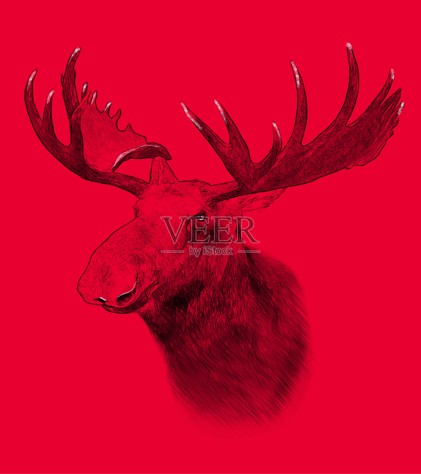 红色背景上的驼鹿。插图,素描风格。照片摄影图片