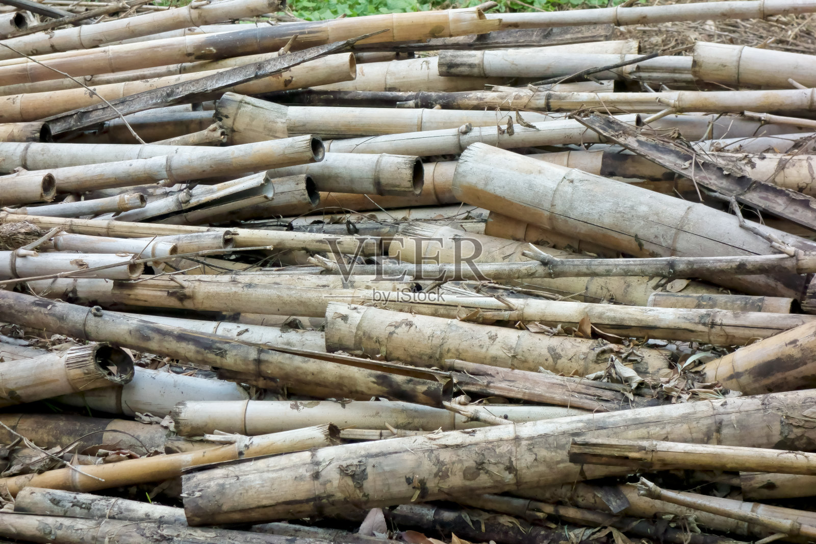 废弃的竹子丢弃照片摄影图片