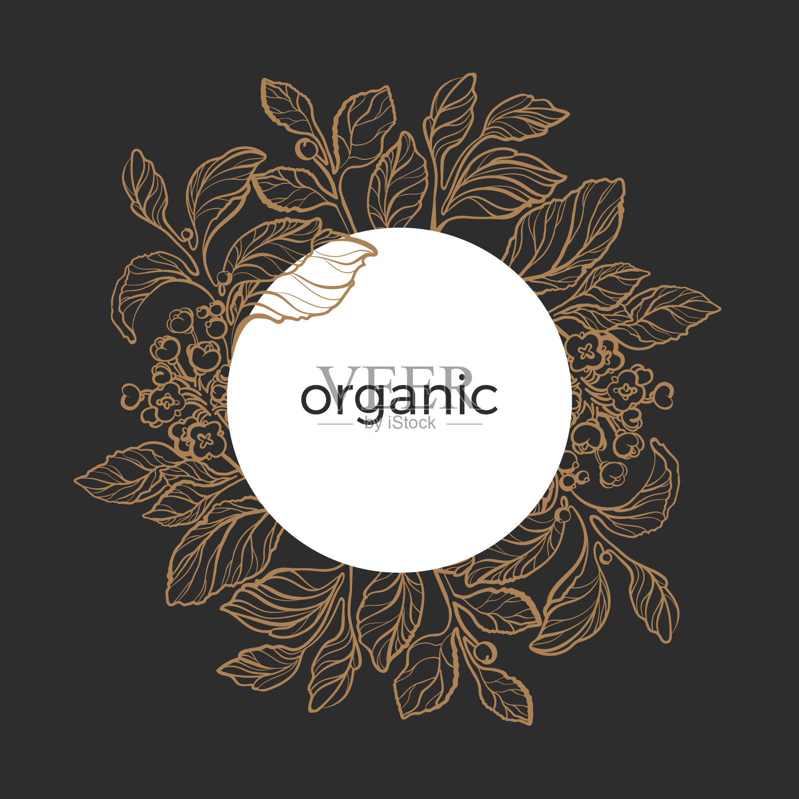 茶伴侣枝的载体花模板。插画图片素材