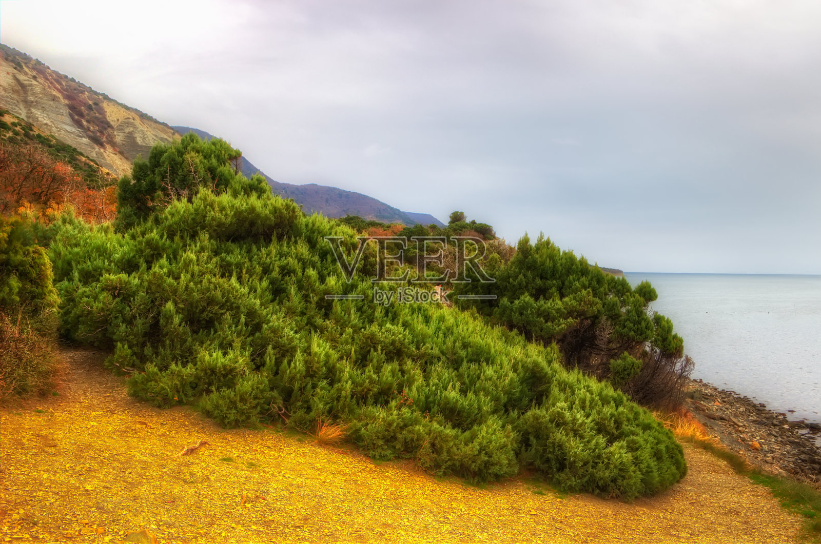 大乌特里什多样植被保护区公园阿纳帕俄罗斯克拉斯诺达尔领土照片摄影图片