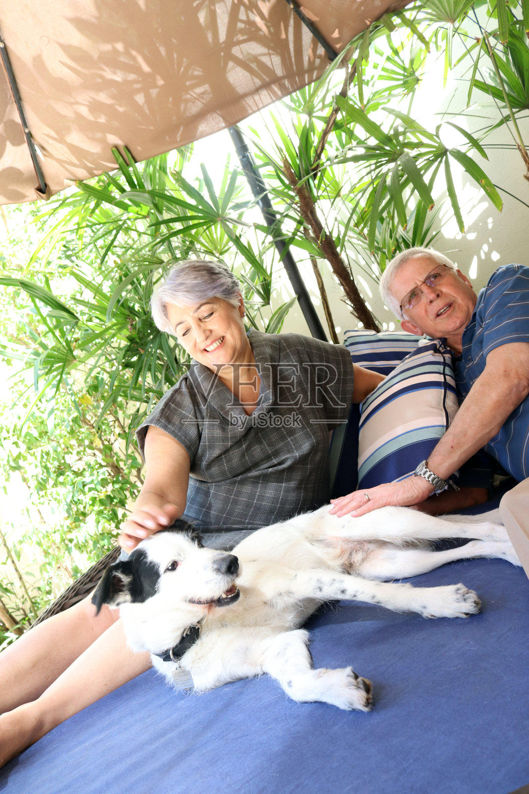 一对老年夫妇和一只宠物照片摄影图片