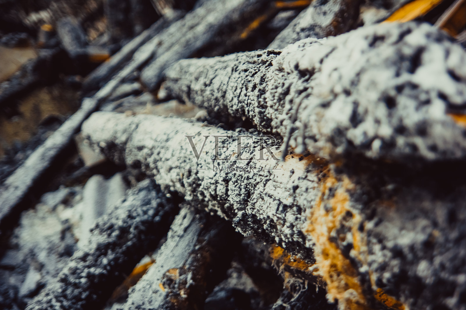 雪地里烧焦的木头照片摄影图片