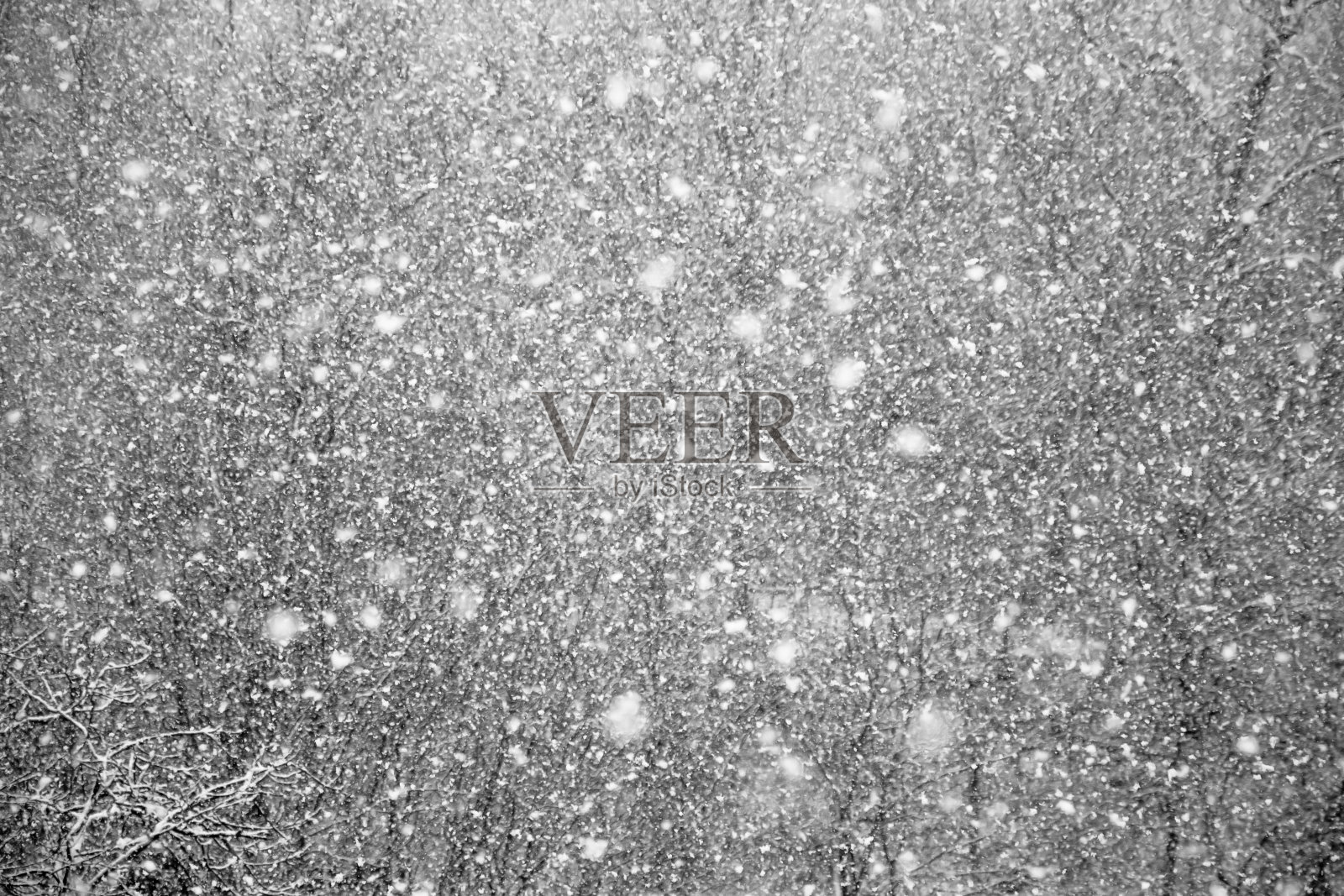 落雪纹理的森林背景覆盖照片摄影图片