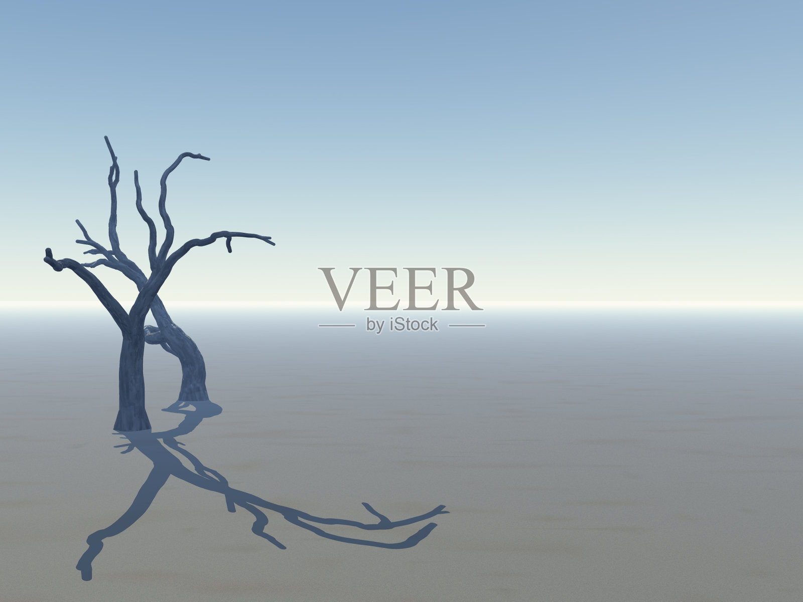 地平线上的树木照片摄影图片