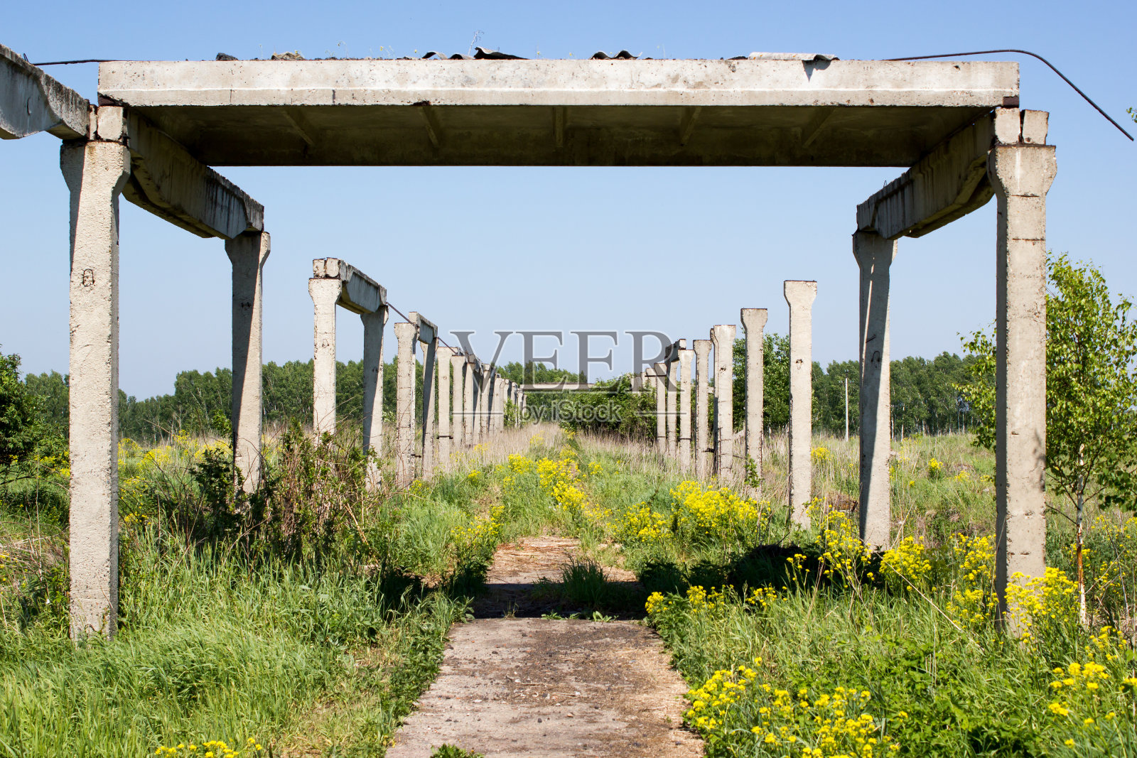绿色草地上的旧混凝土结构照片摄影图片